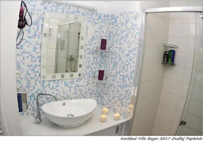 Apartman Vila Bayer Karlovy Vary Eksteriør bilde