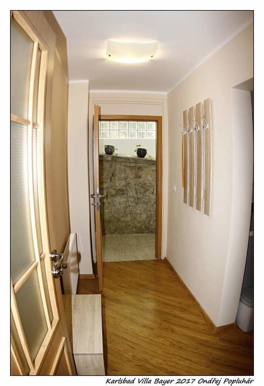 Apartman Vila Bayer Karlovy Vary Eksteriør bilde