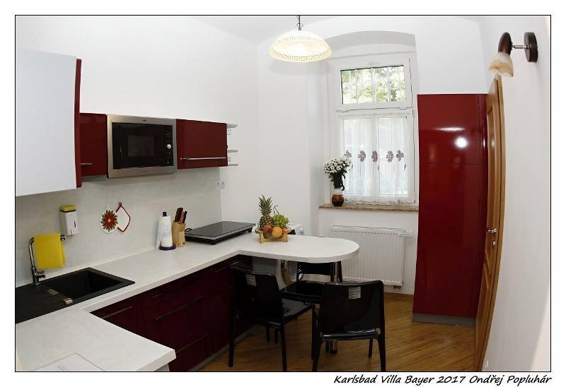 Apartman Vila Bayer Karlovy Vary Eksteriør bilde