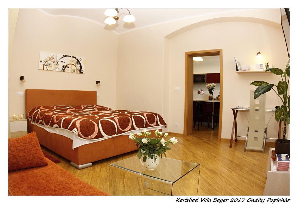 Apartman Vila Bayer Karlovy Vary Eksteriør bilde
